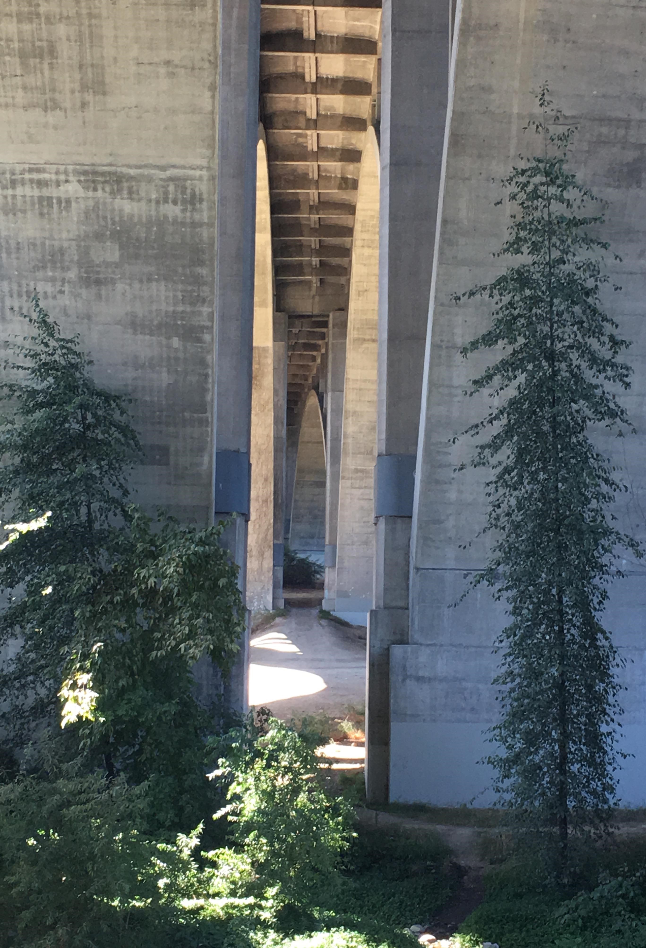 bridge