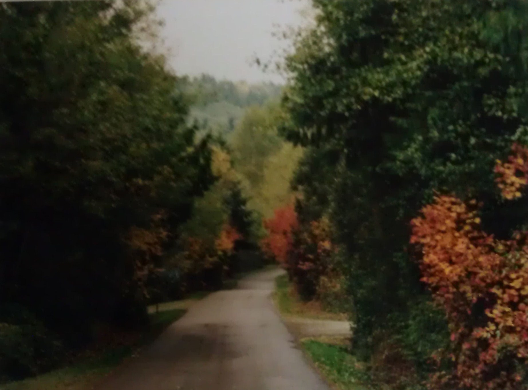 price autumn